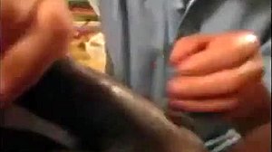 Interracial gay blowjob with big cock cum